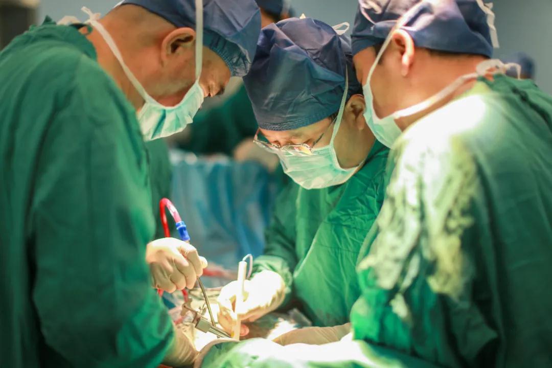 世界首例！我院骨科完成高難度、高科技3D打印可動(dòng)人工頸椎-椎間盤復(fù)合體植入術(shù)