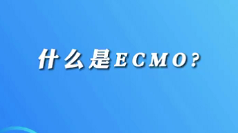 【名醫(yī)面對面之心臟100問】什么是ECMO？